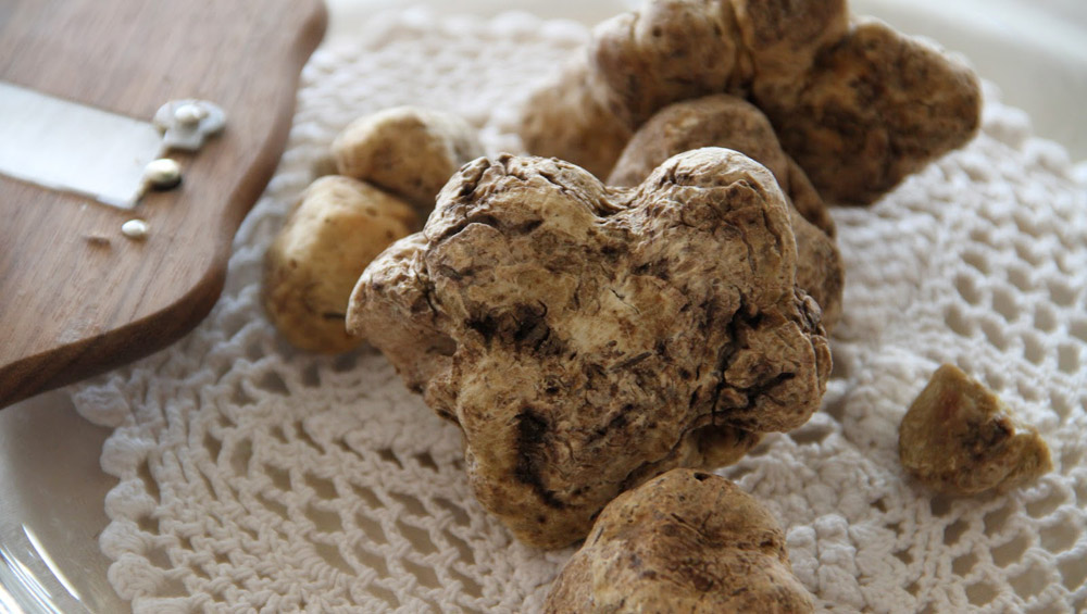 Mostra del Tartufo Bianco