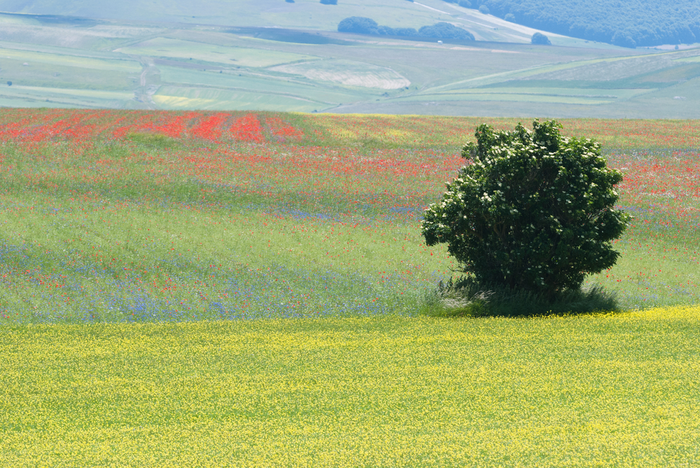 Monti Sibillini