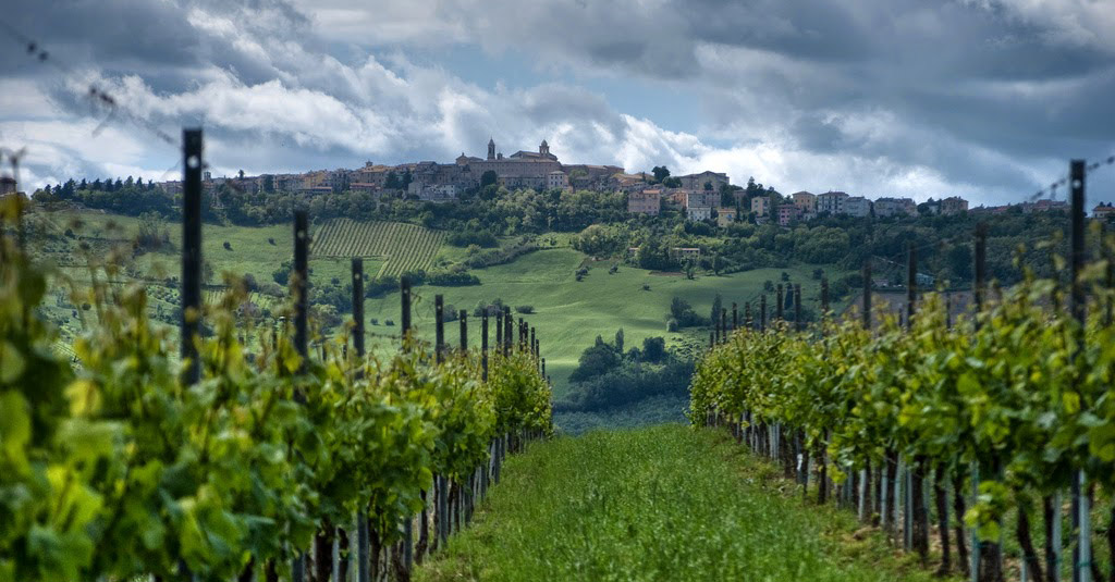 Cupramontana e il verdicchio nelle marche