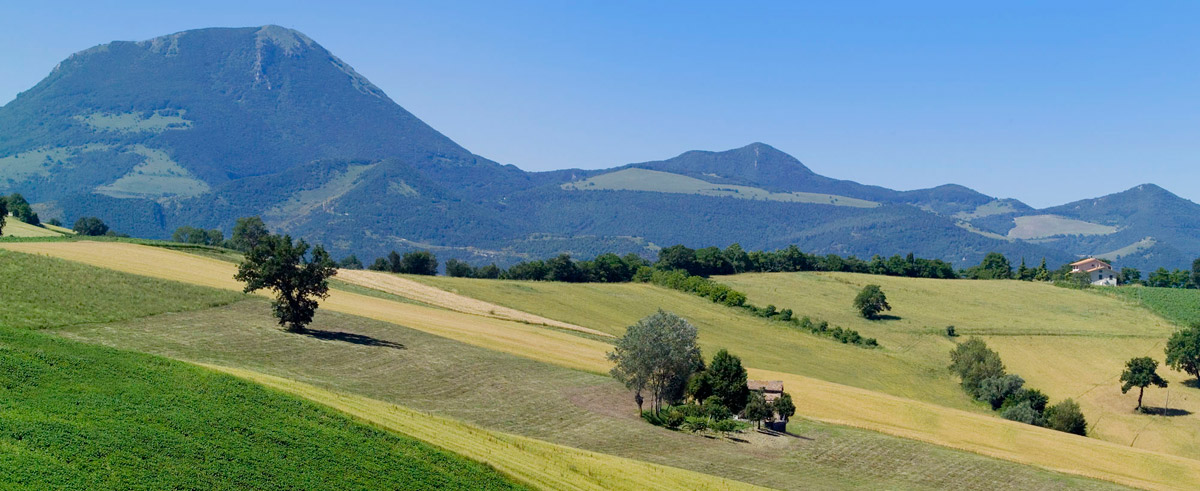 Parchi naturali nelle Marche: la Montagna di Torricchio