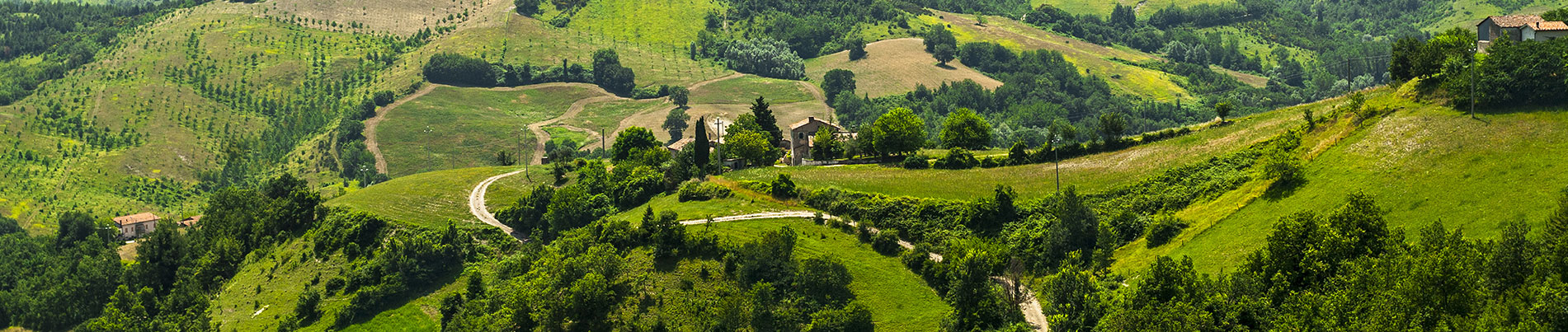 Alberghi Marche