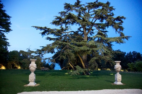 dettagli del giardino